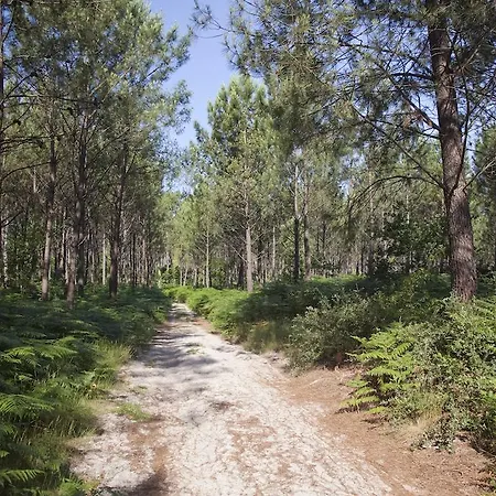 مكان تخييم Sandaya Village